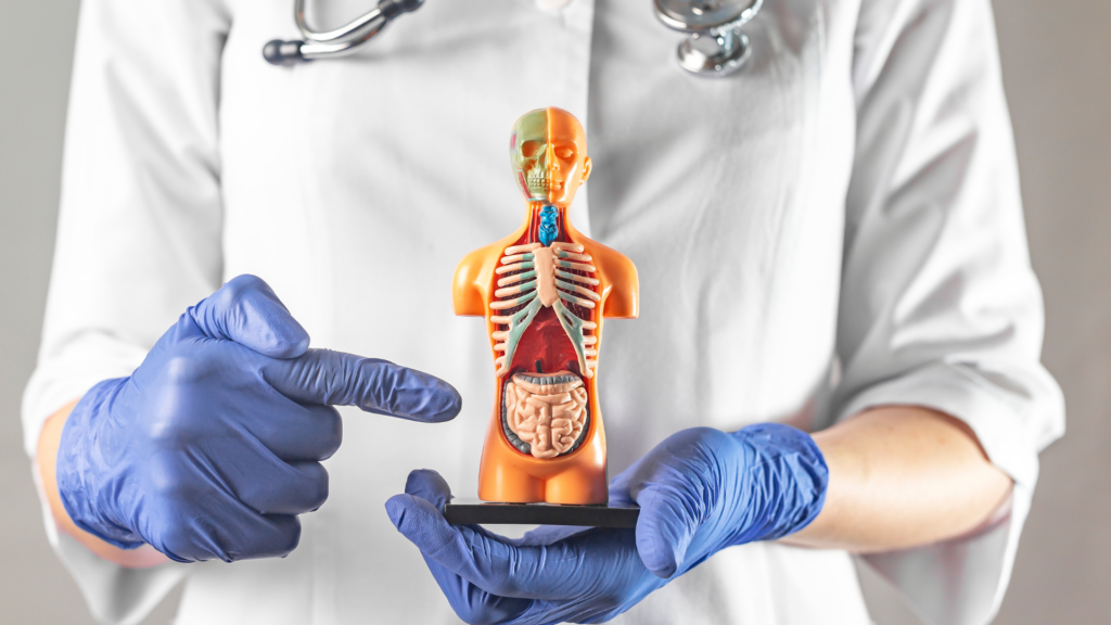 Best colonoscopy treatment and consultation with top gastroenterologists in Tanuku, West Godavari.